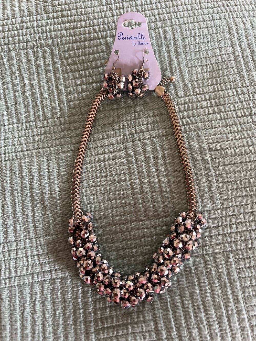 NWT Periwinkle by Barlow silver metallic Necklace and earring set
